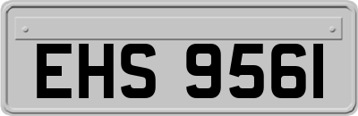 EHS9561