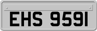 EHS9591