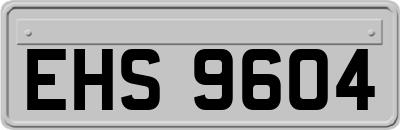 EHS9604