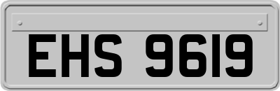 EHS9619