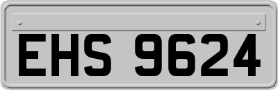 EHS9624