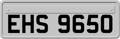 EHS9650