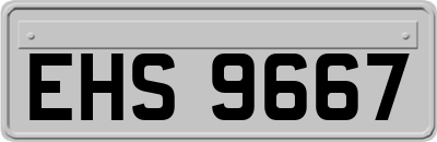 EHS9667
