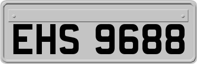 EHS9688
