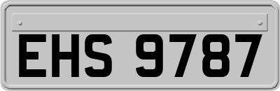 EHS9787