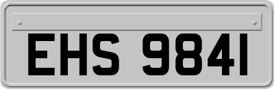 EHS9841