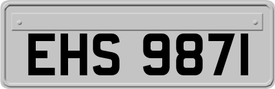 EHS9871