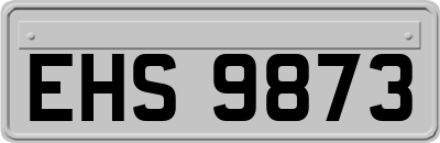 EHS9873