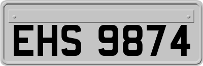 EHS9874