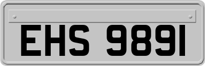 EHS9891