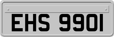 EHS9901