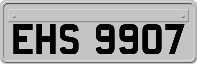 EHS9907