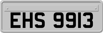 EHS9913