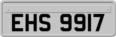 EHS9917
