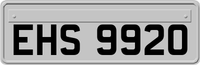 EHS9920