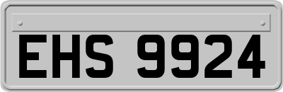 EHS9924