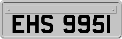 EHS9951