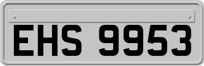 EHS9953