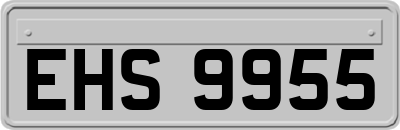 EHS9955