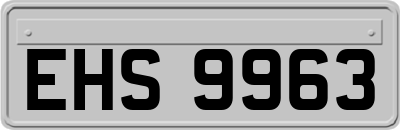EHS9963
