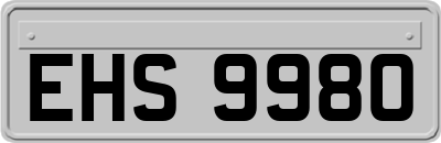 EHS9980