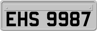 EHS9987
