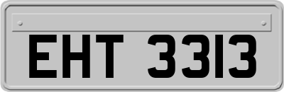 EHT3313