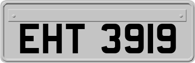 EHT3919
