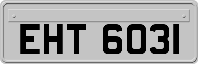 EHT6031