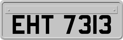 EHT7313