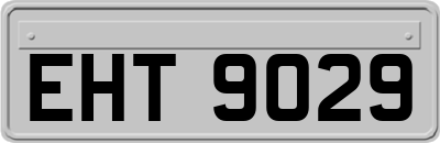 EHT9029