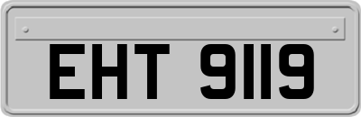 EHT9119