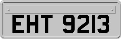 EHT9213