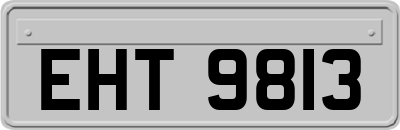 EHT9813