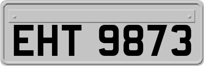 EHT9873