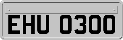 EHU0300
