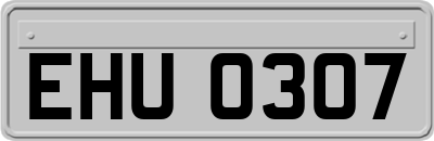 EHU0307