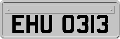 EHU0313