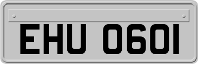 EHU0601