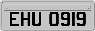 EHU0919