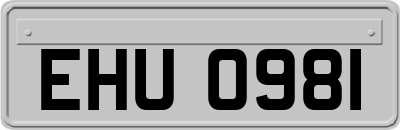 EHU0981