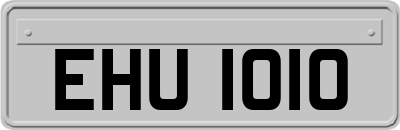 EHU1010