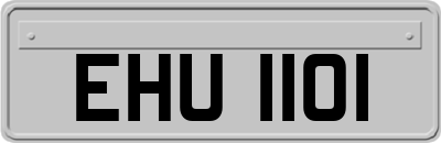 EHU1101