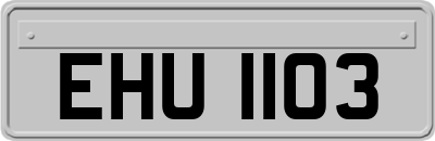 EHU1103