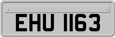 EHU1163