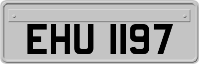 EHU1197