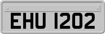 EHU1202