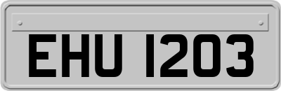 EHU1203