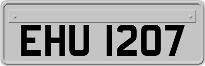 EHU1207