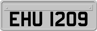 EHU1209